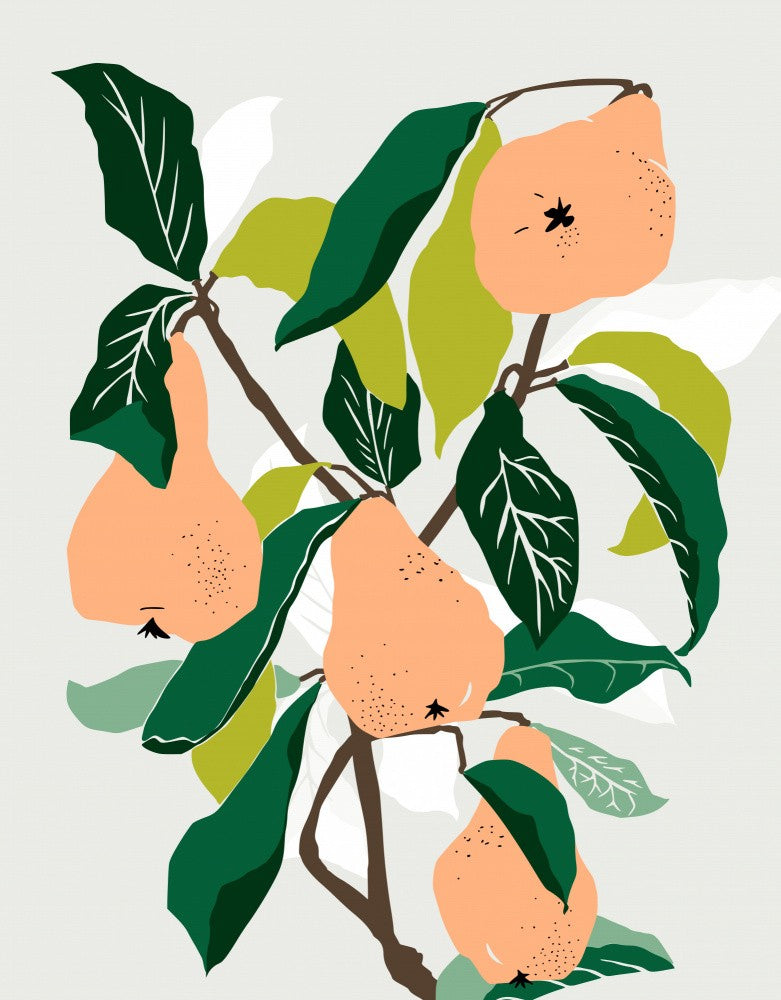Orange Pears