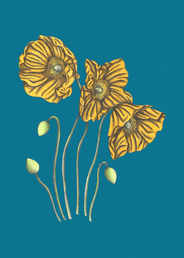 Poppies#8