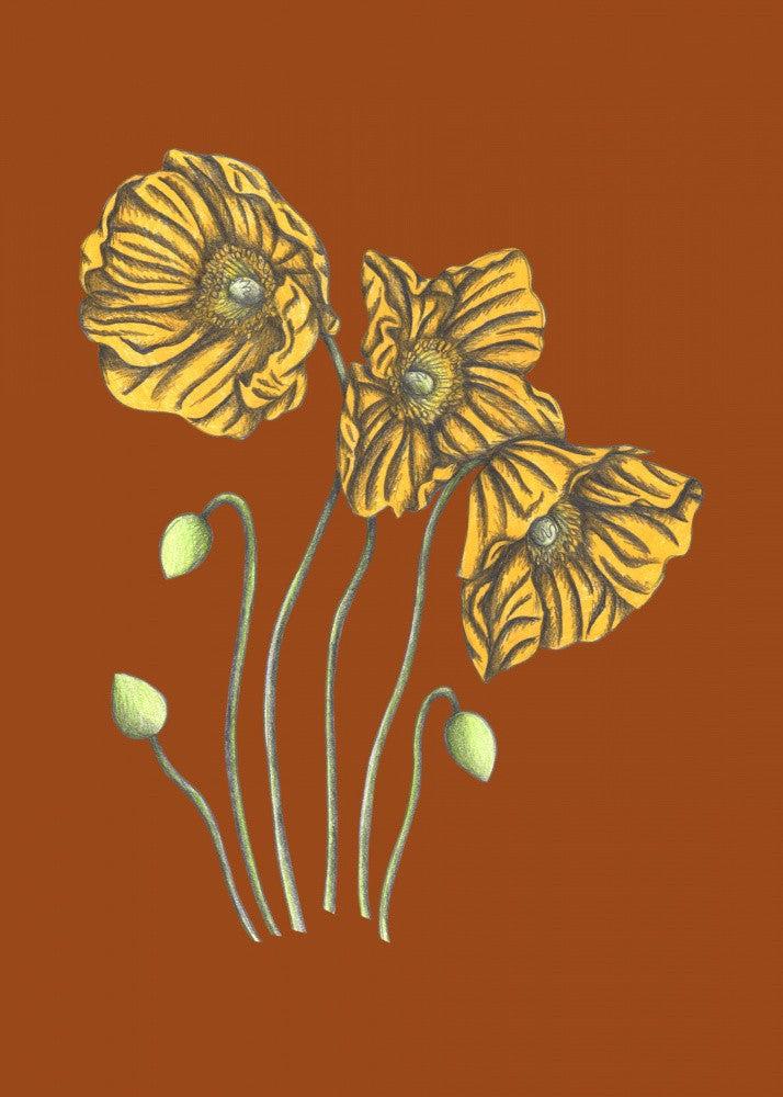 Poppies#8