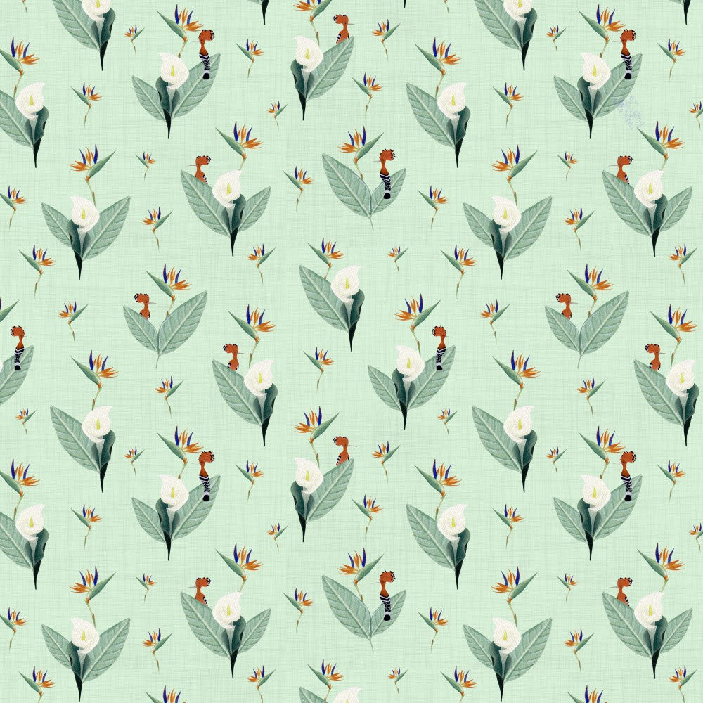 Birds of Paradise