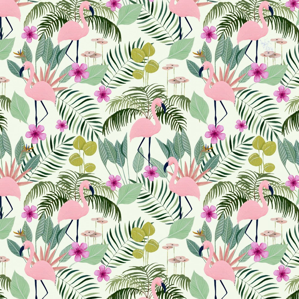 Flamingos