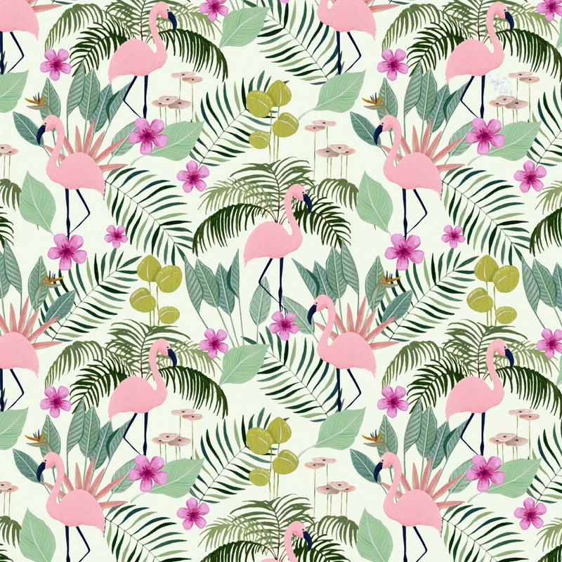 Flamingos
