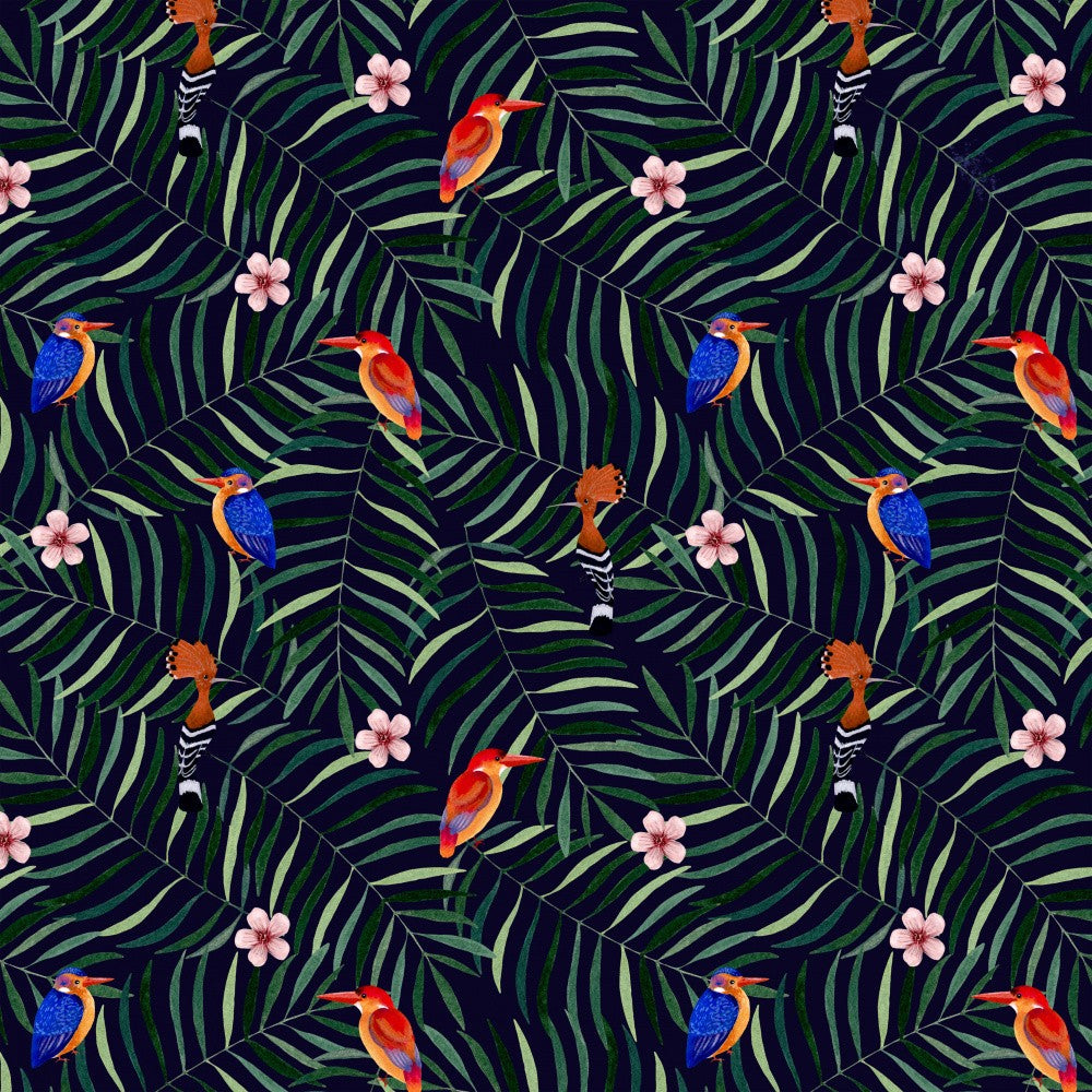 Tropical Birds