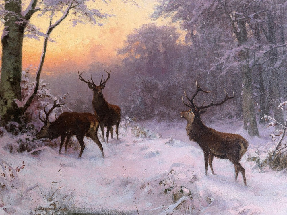 Arthur Thiele - Wild Im Winterwald 1874