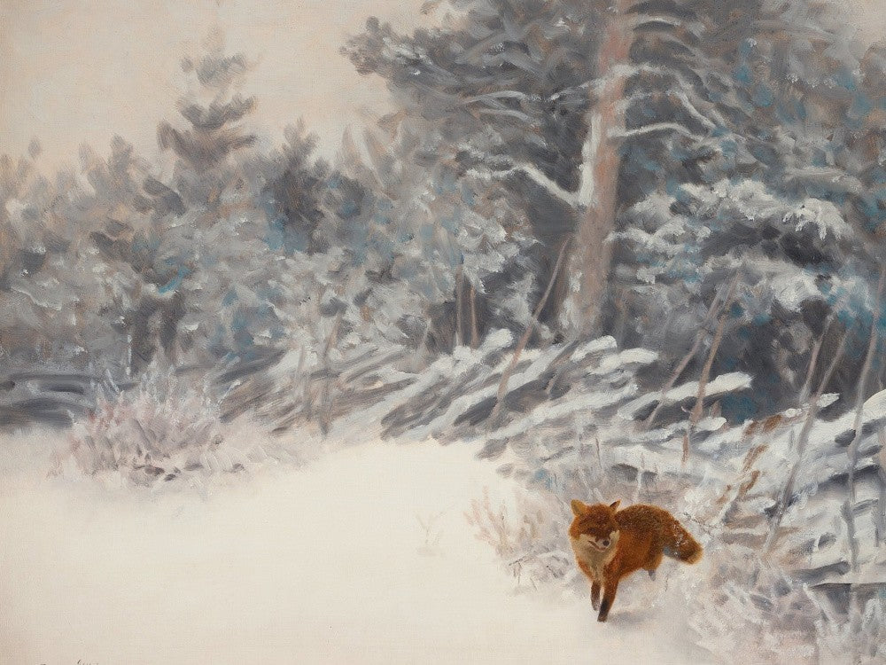 Bruno Liljefors - Winter Landscape With Fox 1928