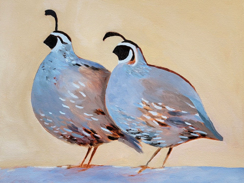 Quail 25