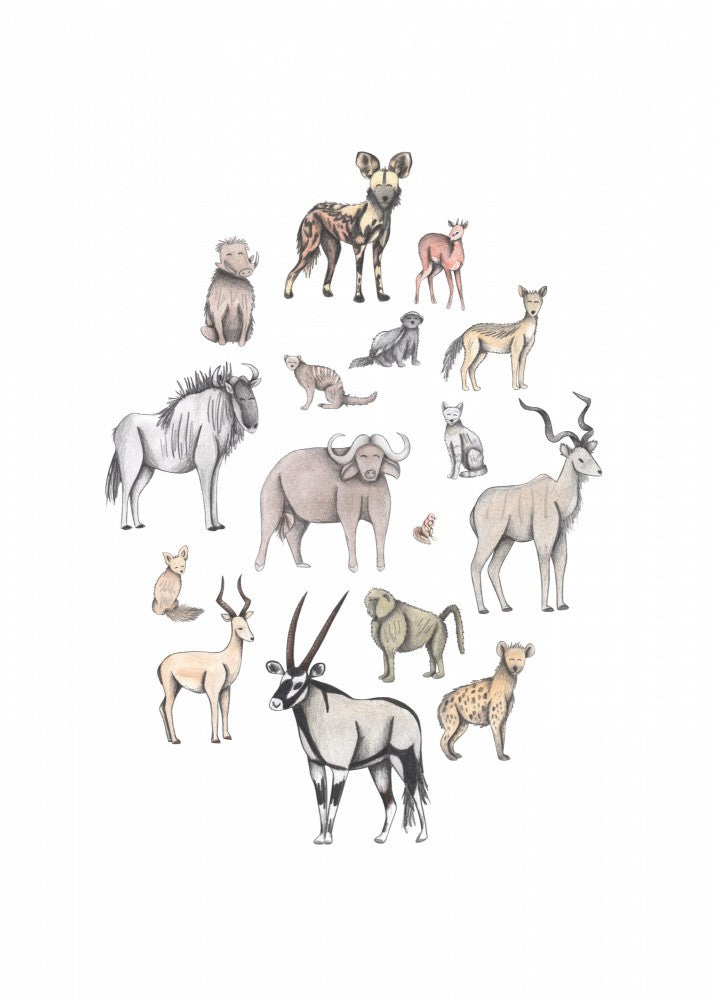 Africa Animals