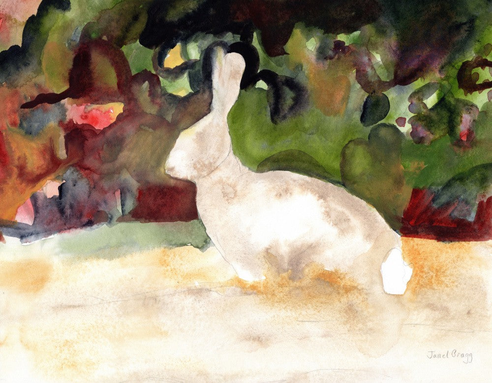 Rabbit We Saw On Our Walk
