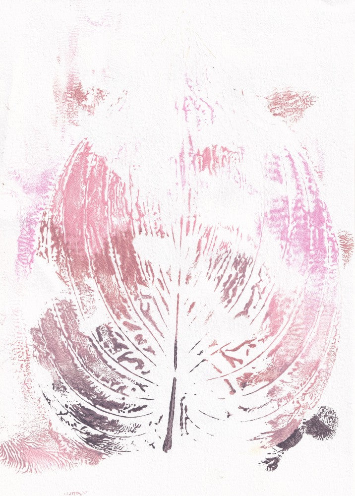 Pink leave