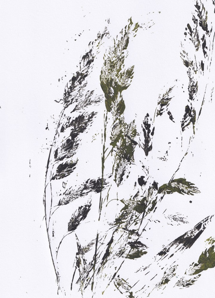 Botanical sketch