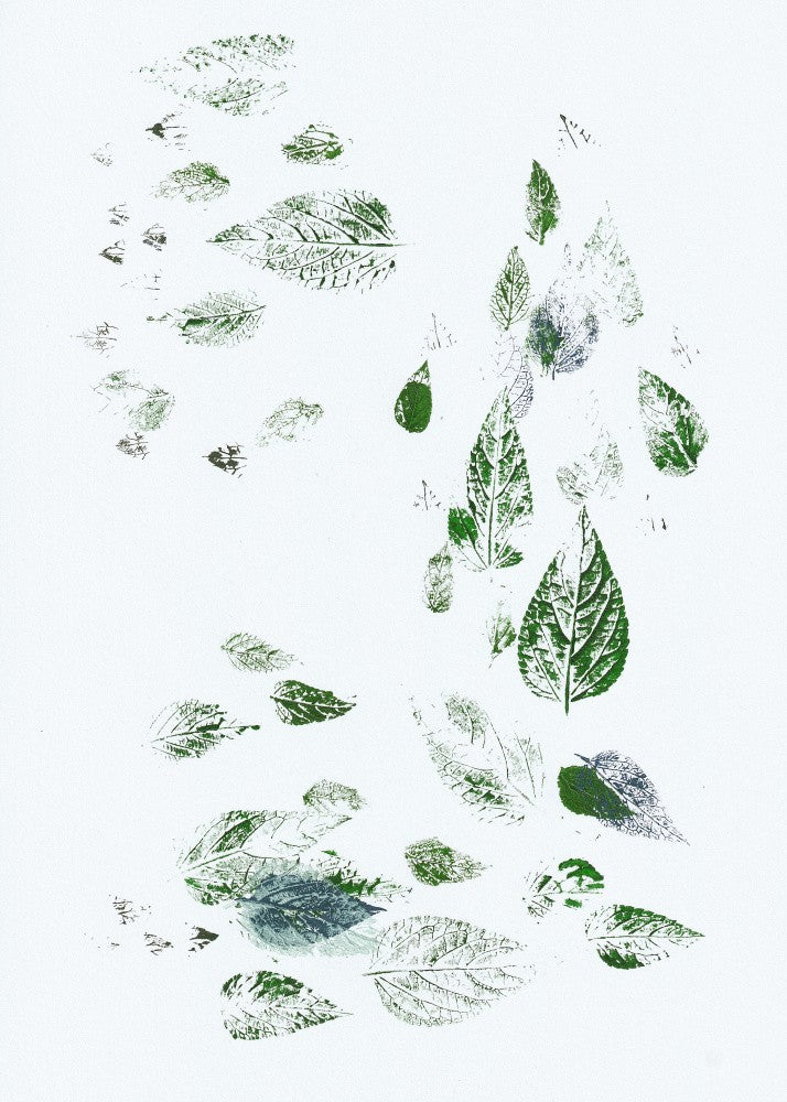 Leaves