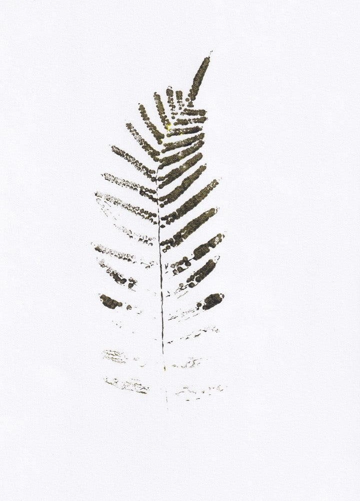 Botanical wall art