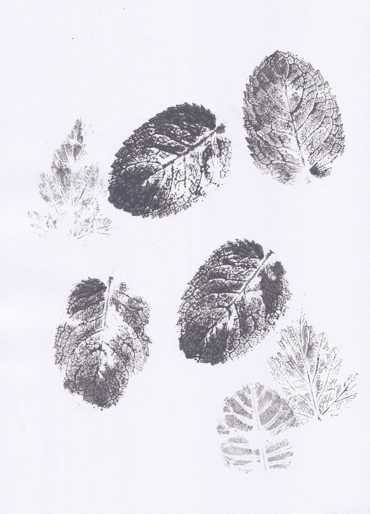 Leaves