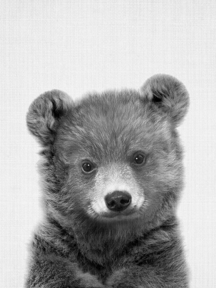Black &amp; White Peekaboo Bear