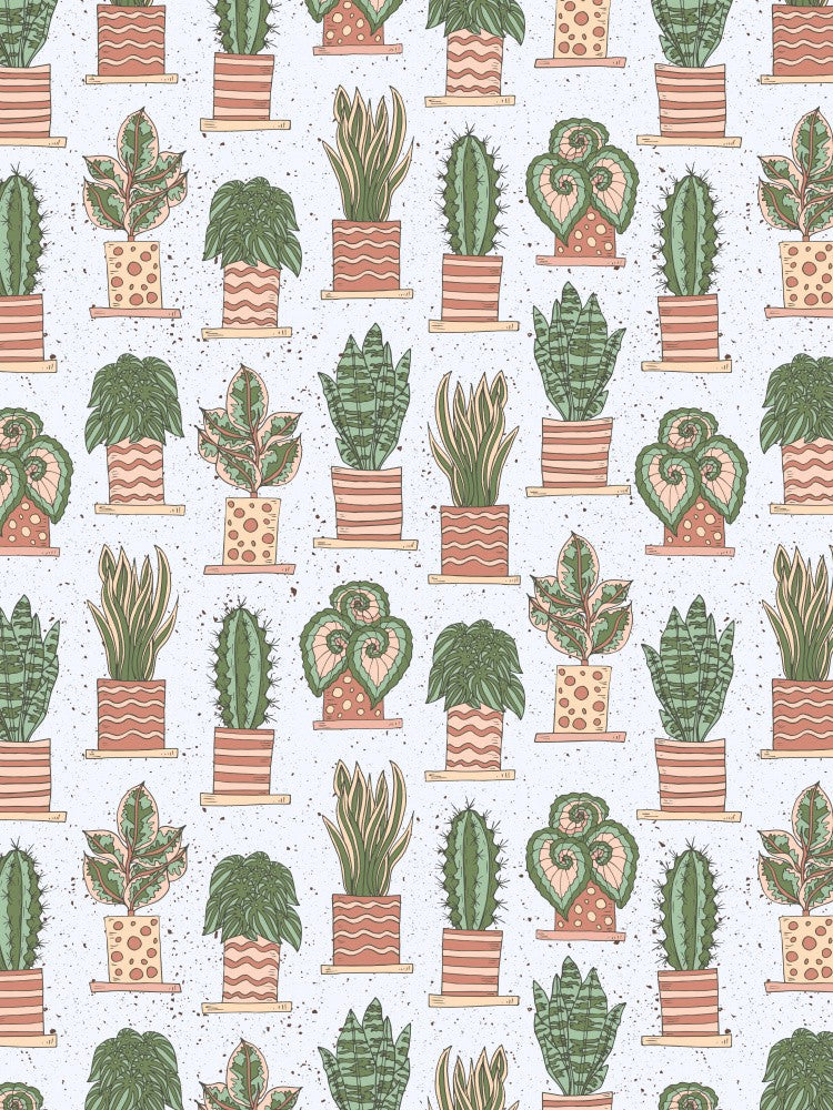 House Plants