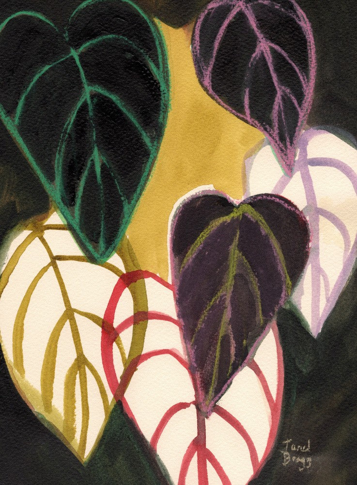 Philodendronblätter mit Chartreuse