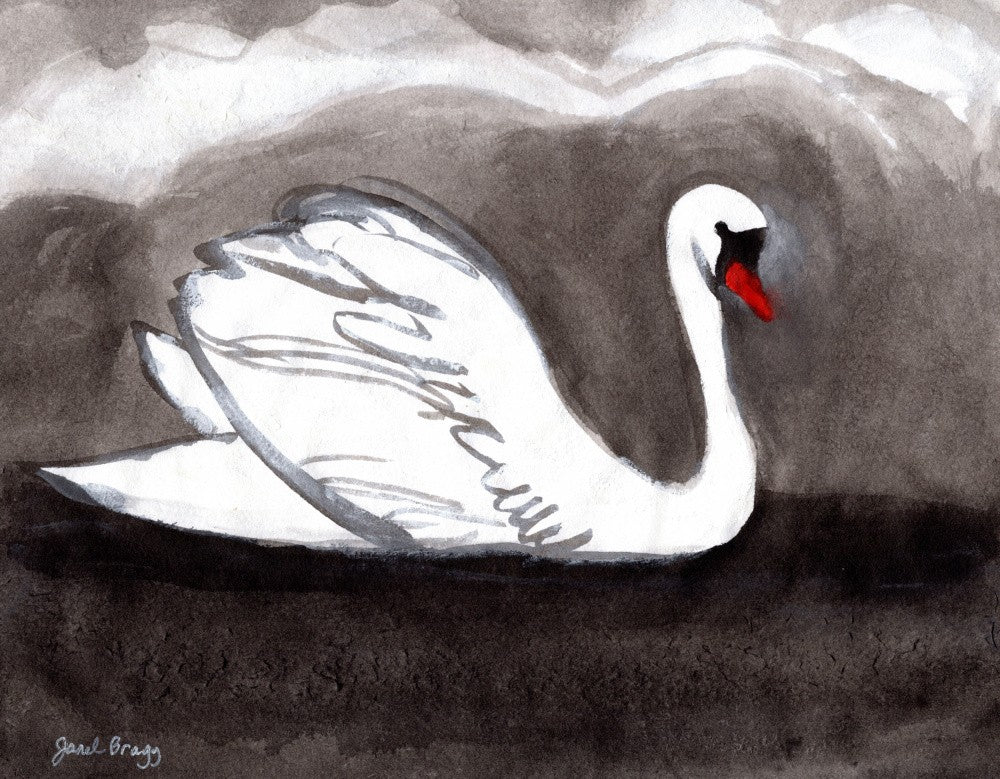 Swan On Stormy Lake