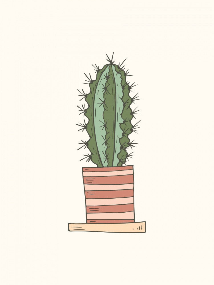 House Plant - Cactus