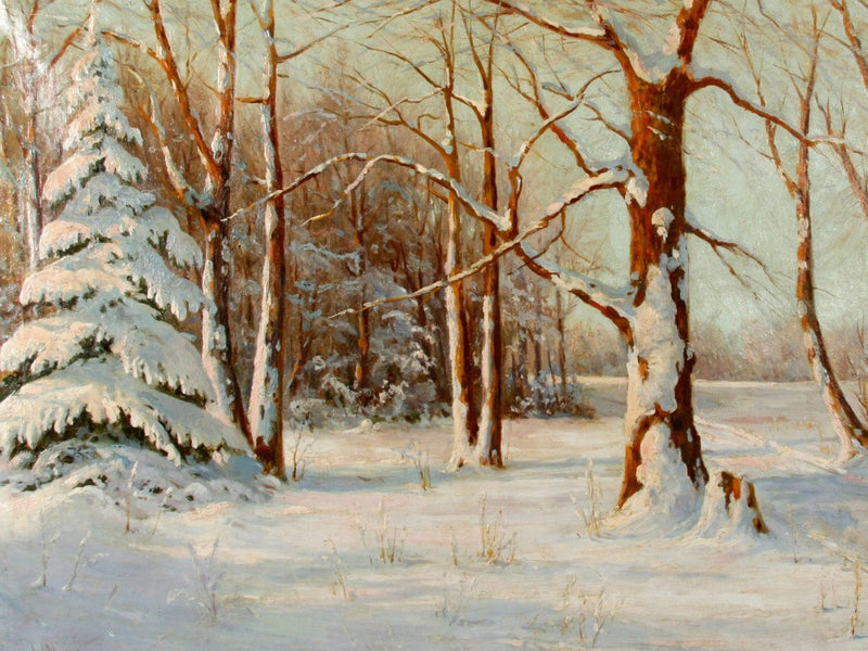 Walter Moras - Winter