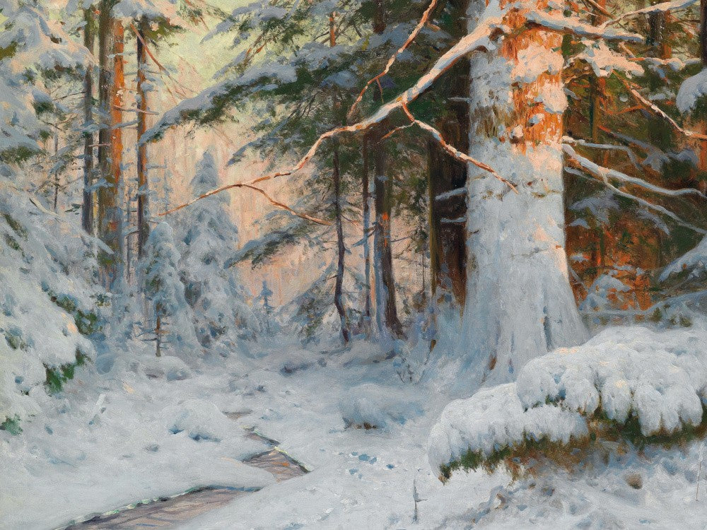 Walter Moras - Winterwald Im Sonnenlicht