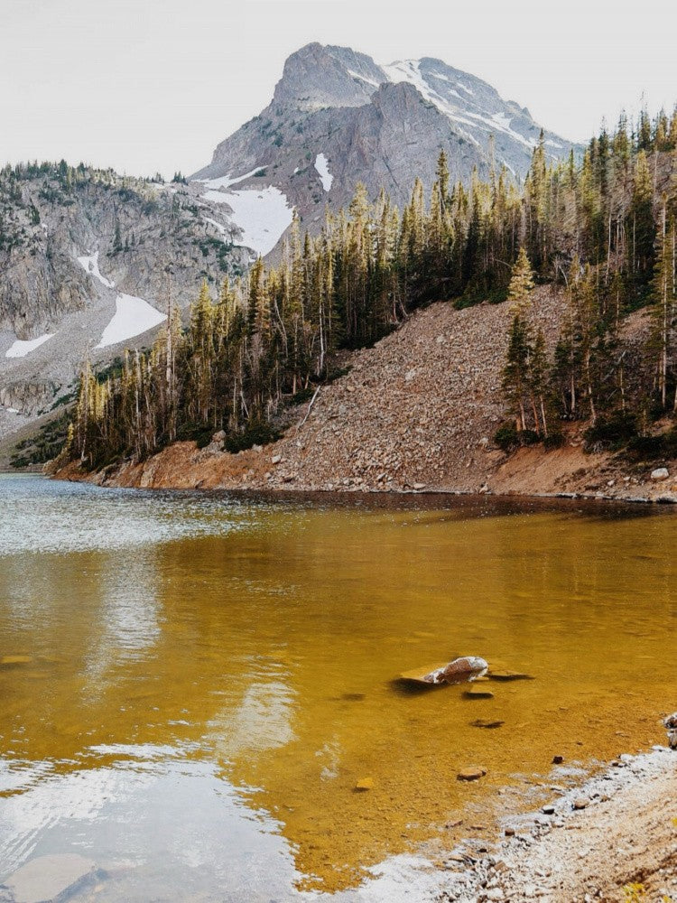 Lake Agnes Reflections