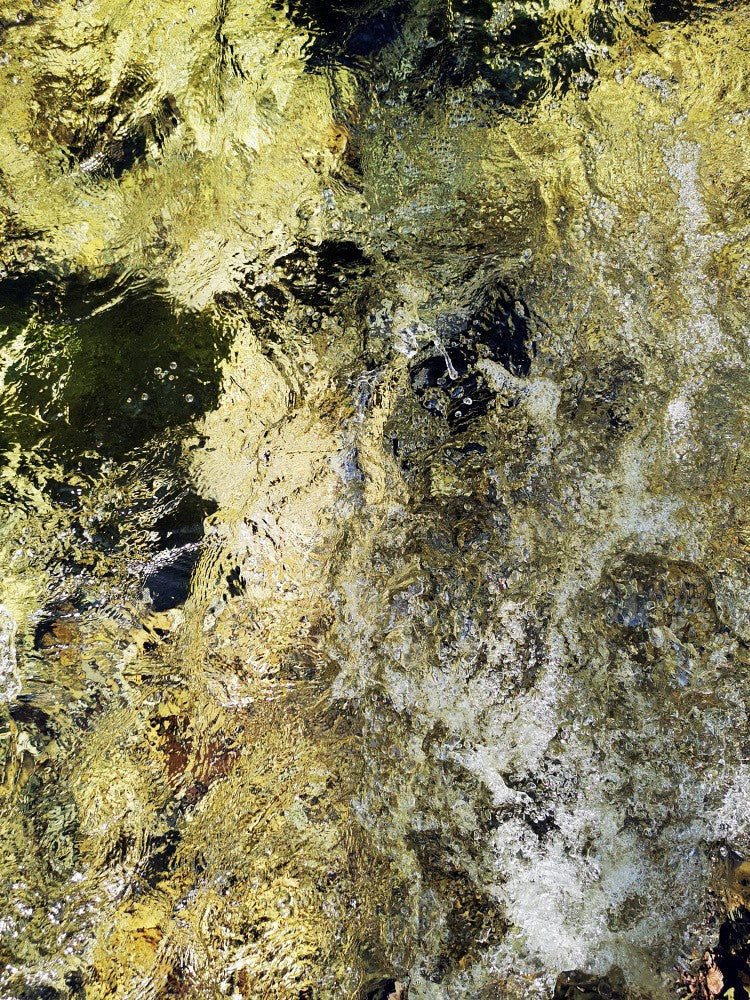 Liquid Gold (1)