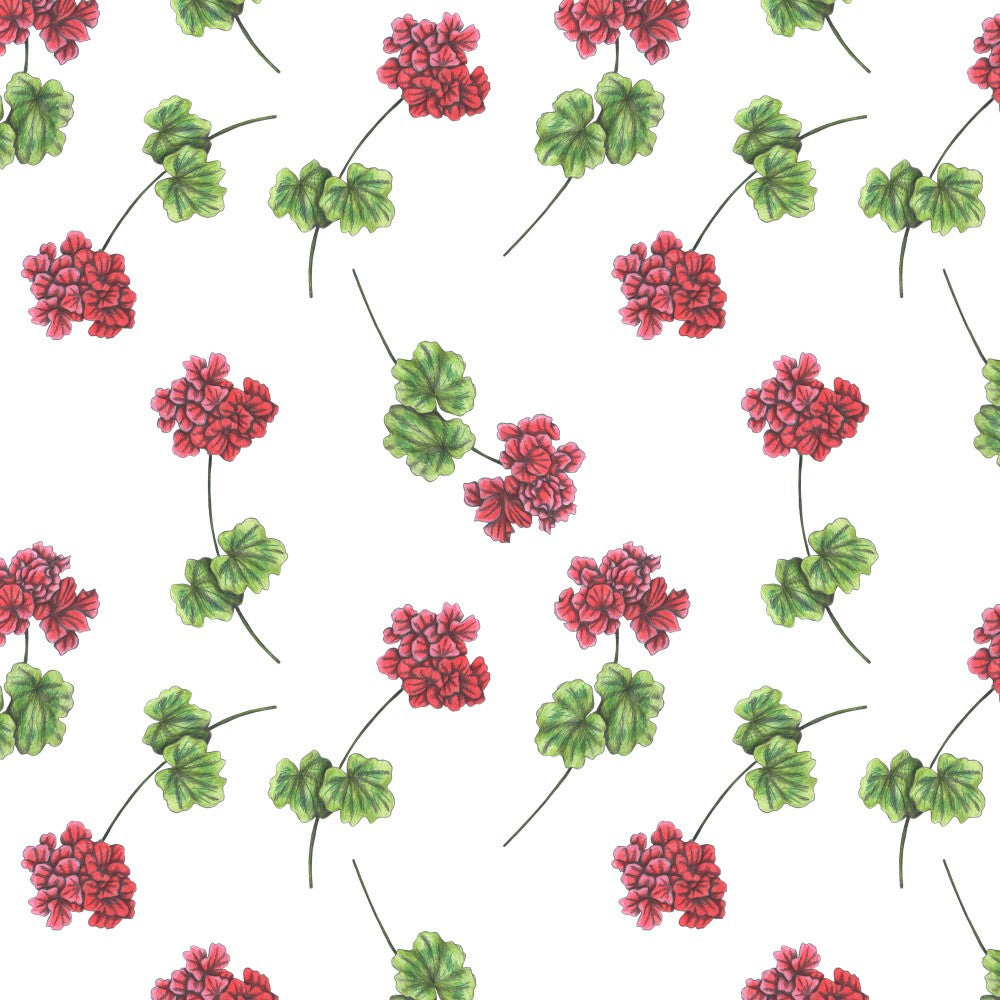 Sweet Geraniums