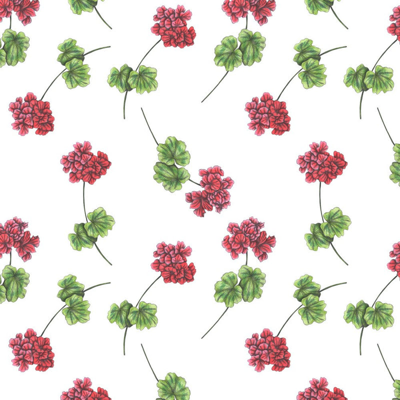 Sweet Geraniums