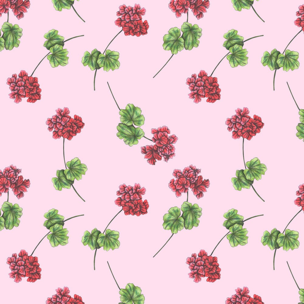 Sweet Geraniums