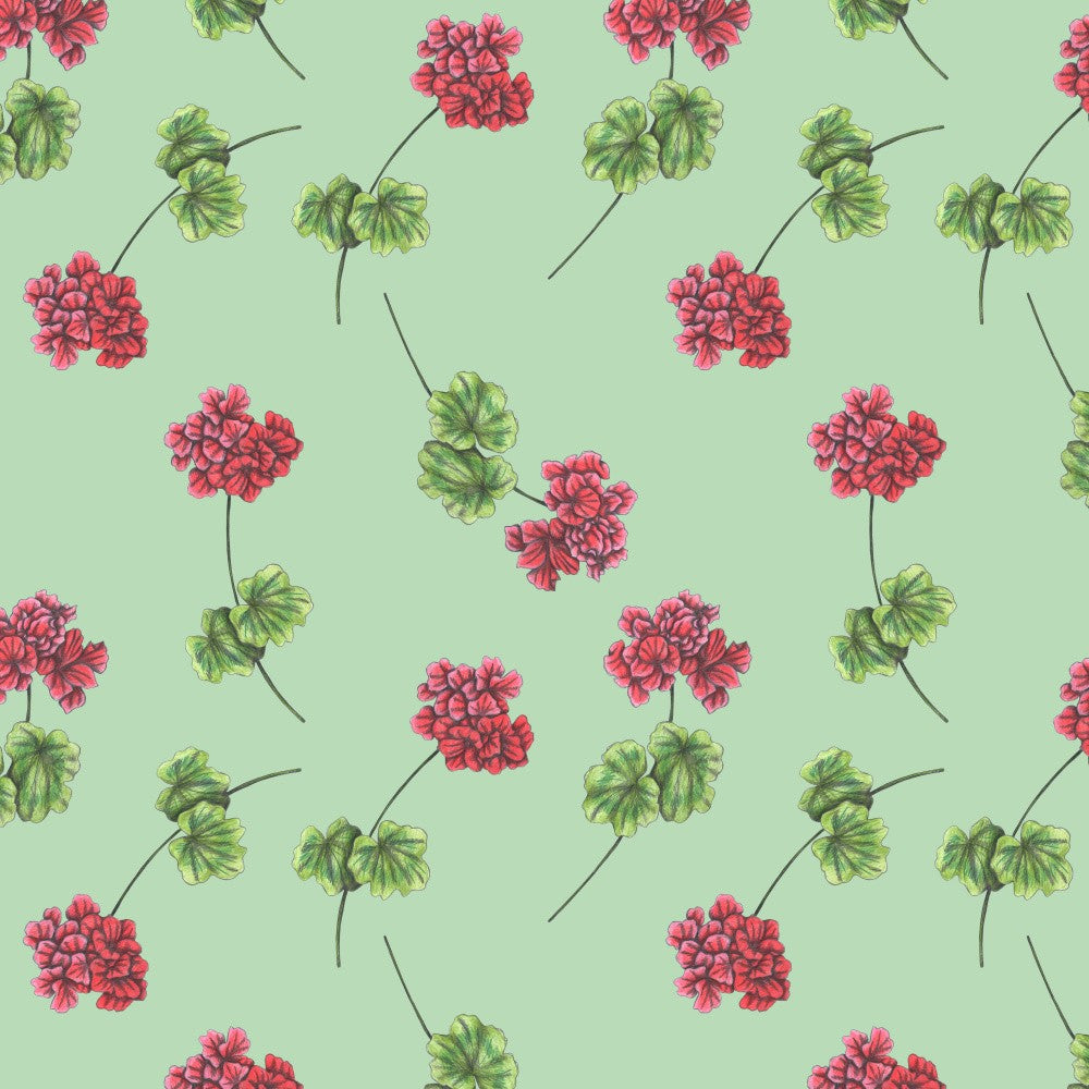 Sweet Geraniums