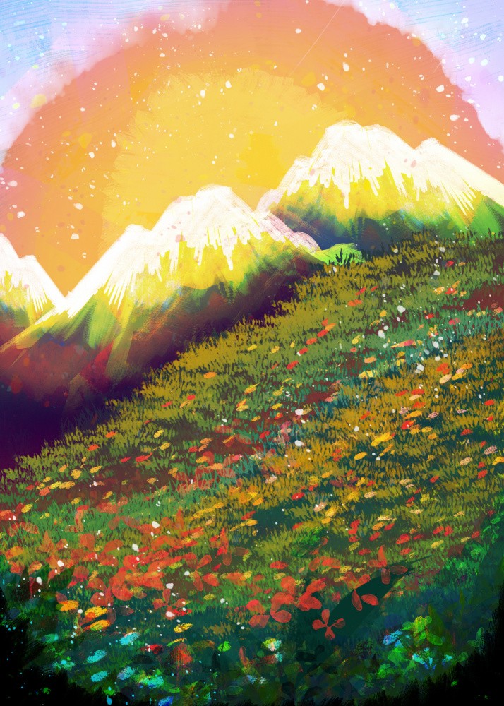 Sunrise fields