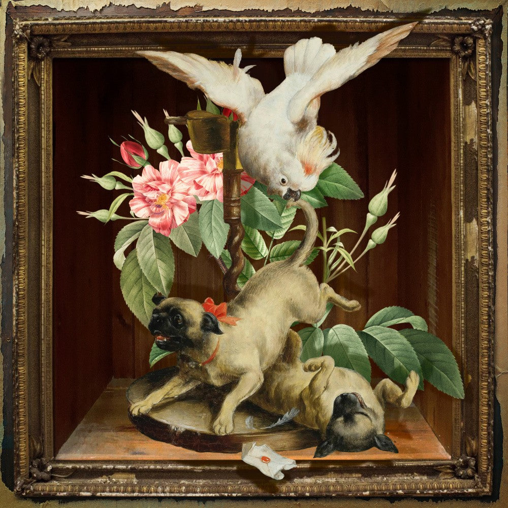 Shadowbox