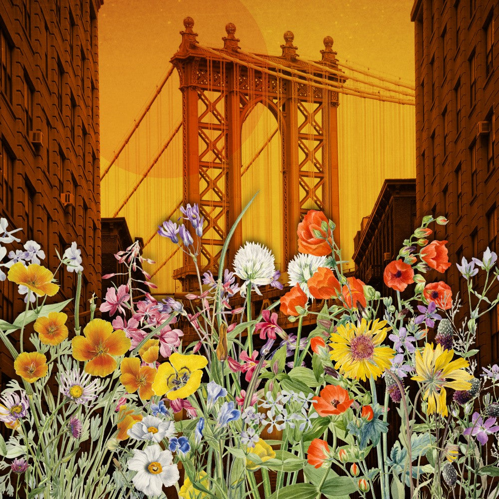 Summer In the City