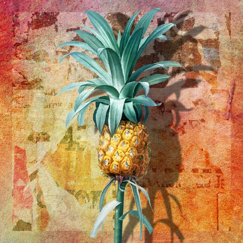 L'art De L'ananas