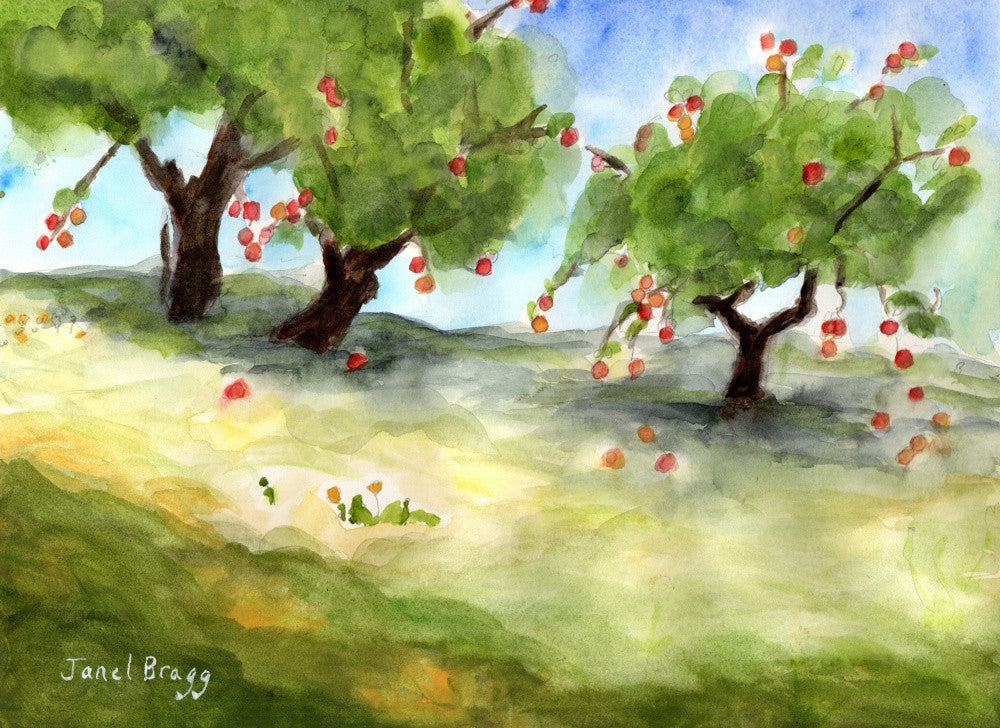 Apple Orchard By My Home