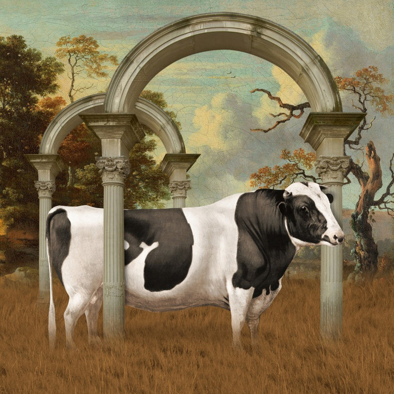 The Glorious Cow
