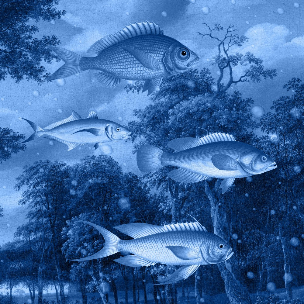 The Great Fish Migration   Blue Edition