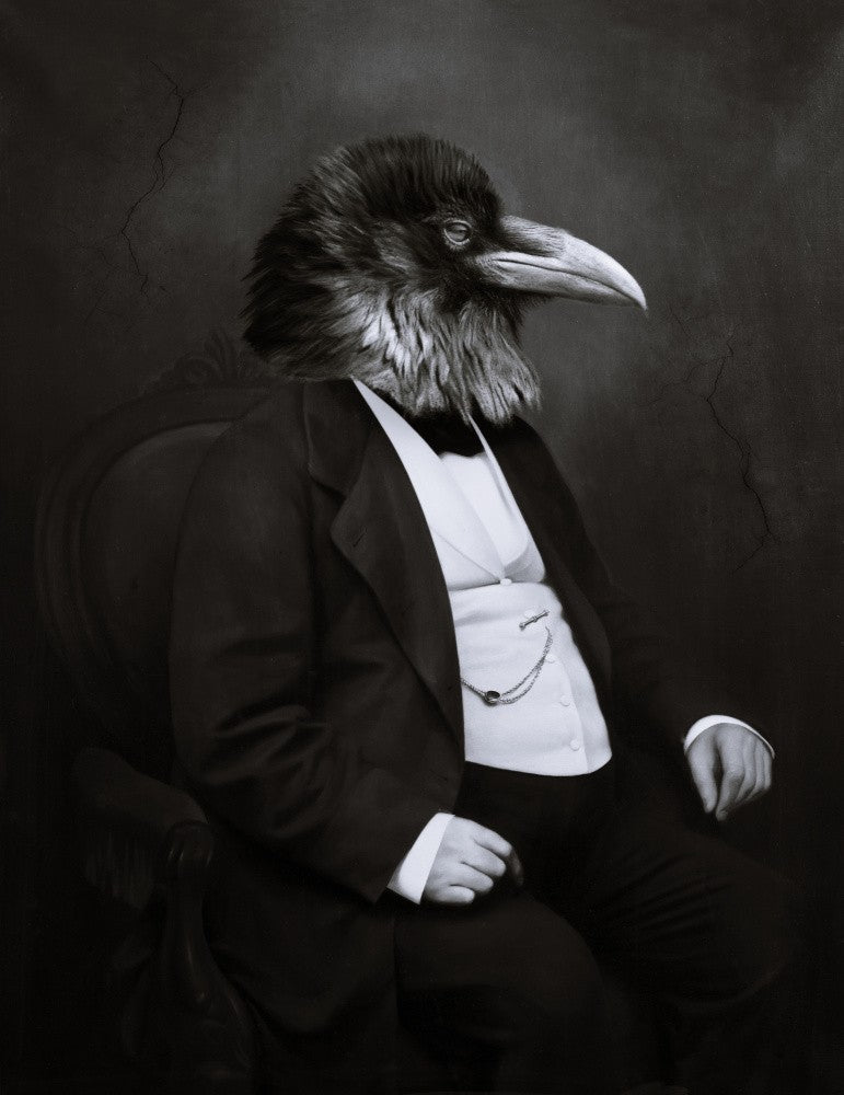 The Noble Raven