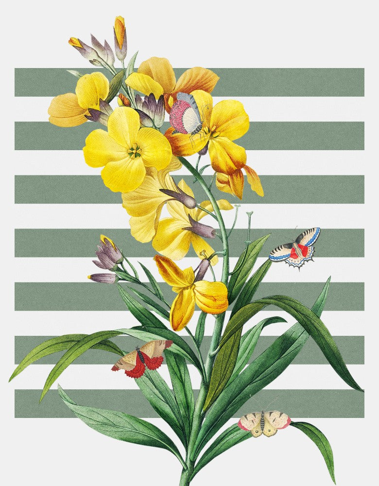 The Spring Collection