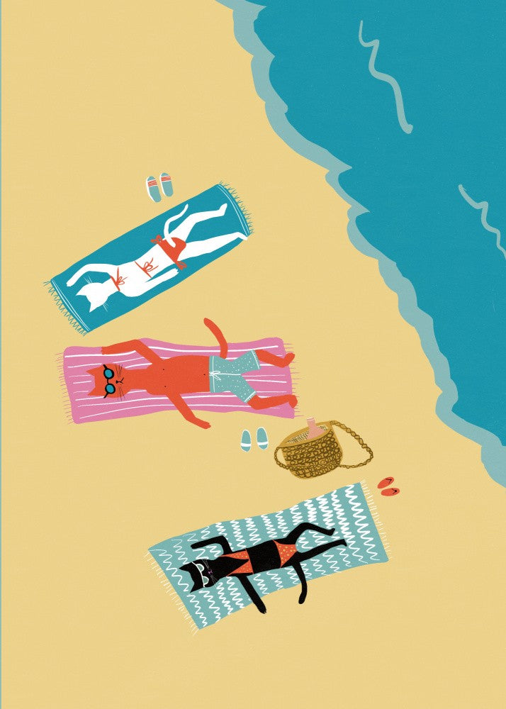 Cats at beach
