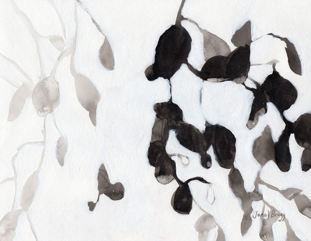 Leaves In Black and White