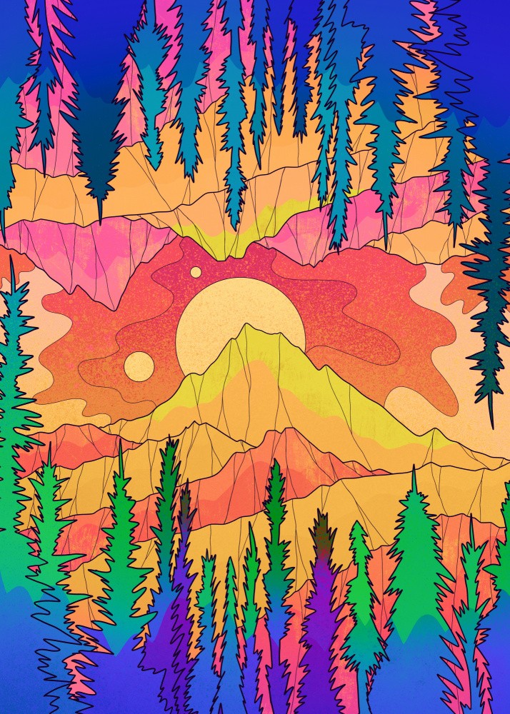 The vibrant forest lands