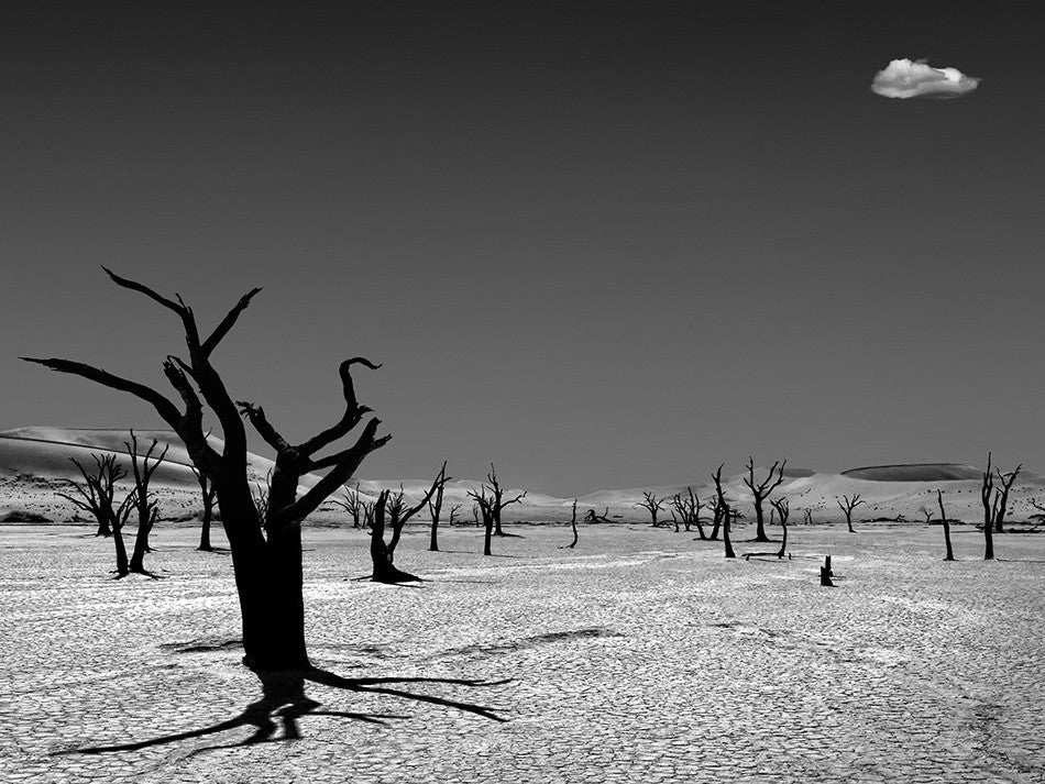 The cloud from the dead