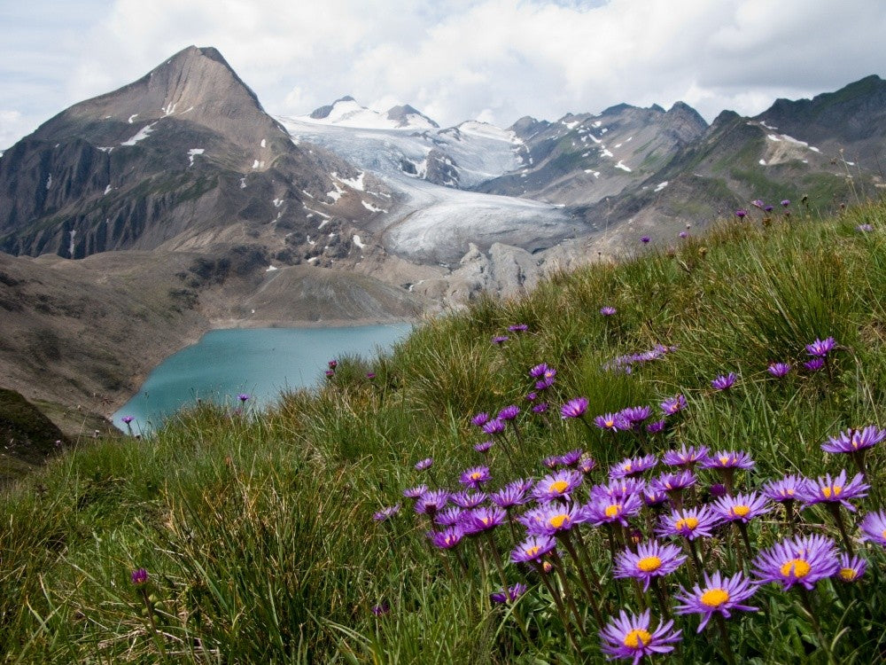Corno Gries, Switzerland