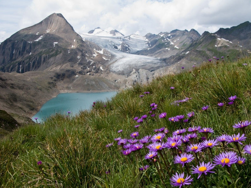 Corno Gries, Switzerland