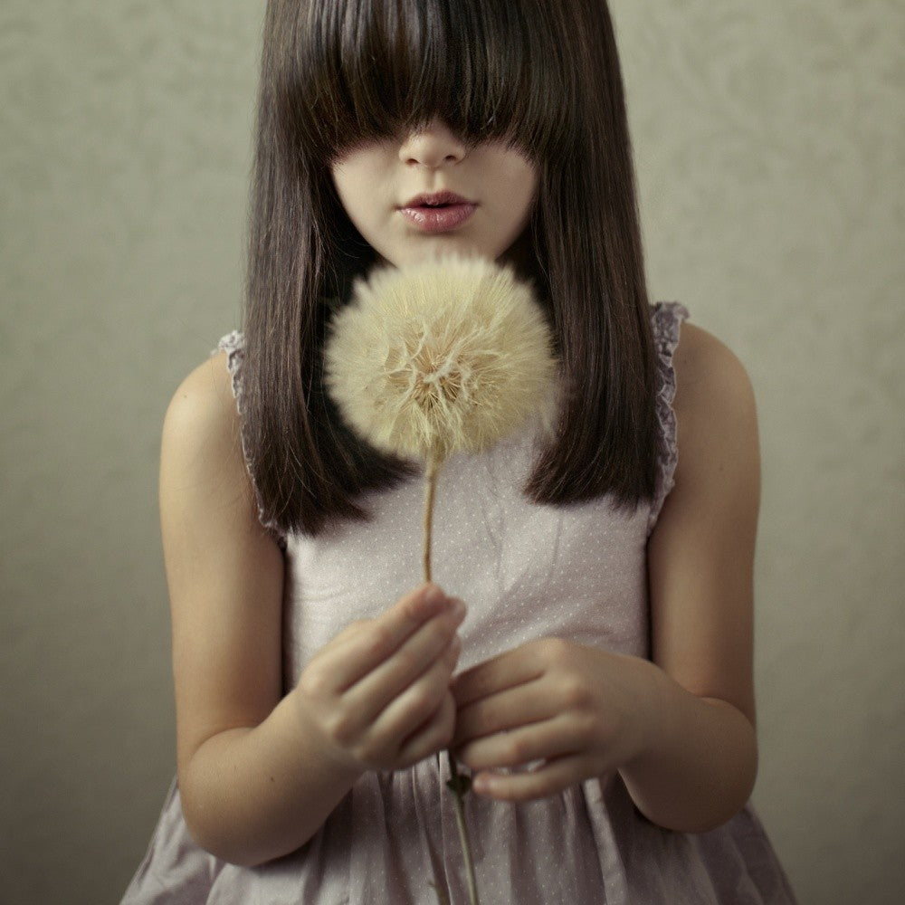 Secret Wishes