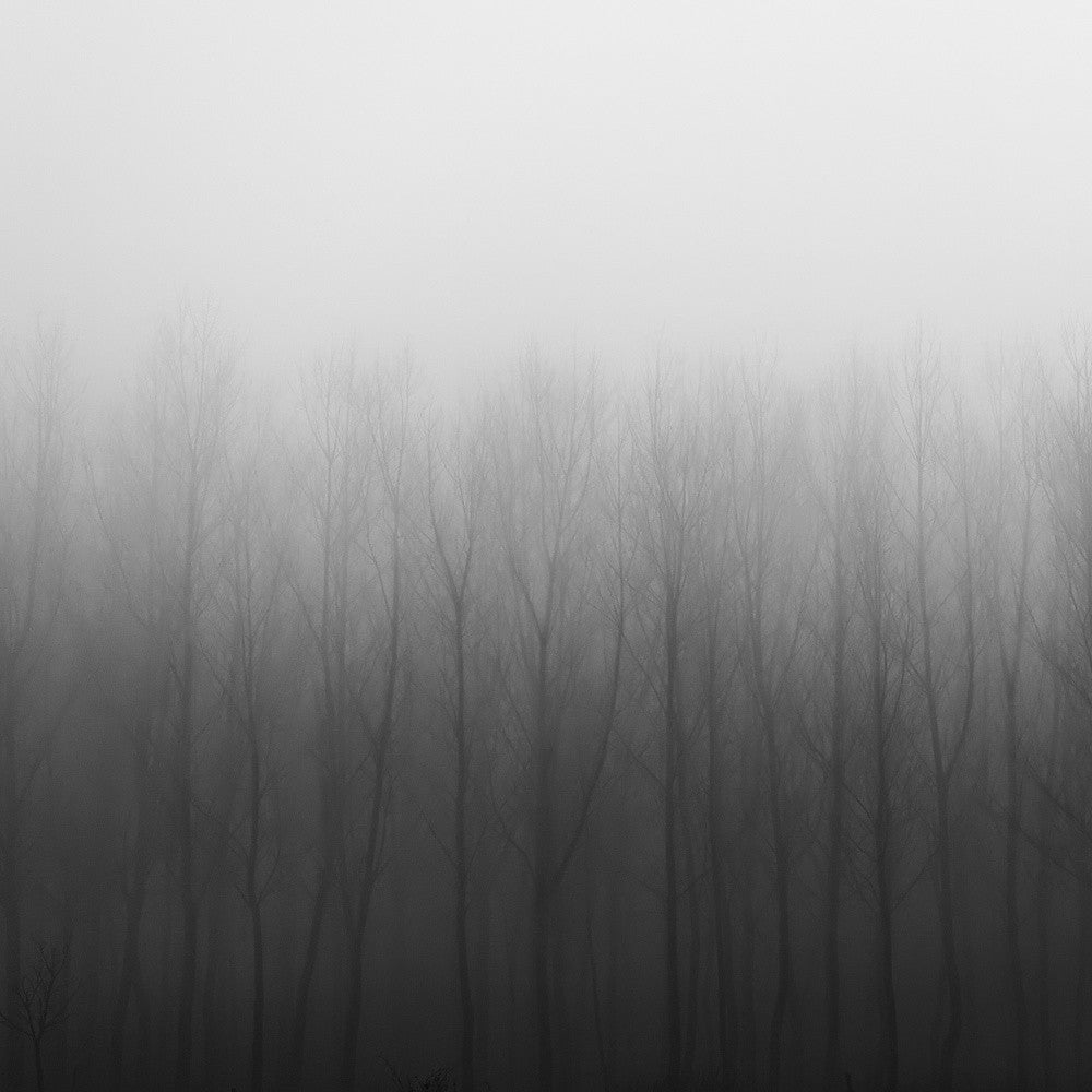 Mistery lines