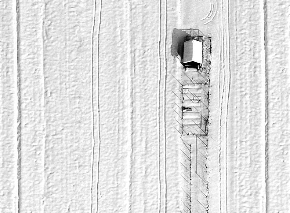 snowy stripes