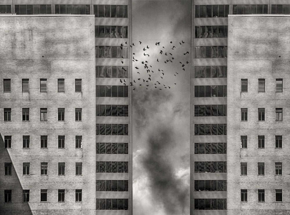 Migration