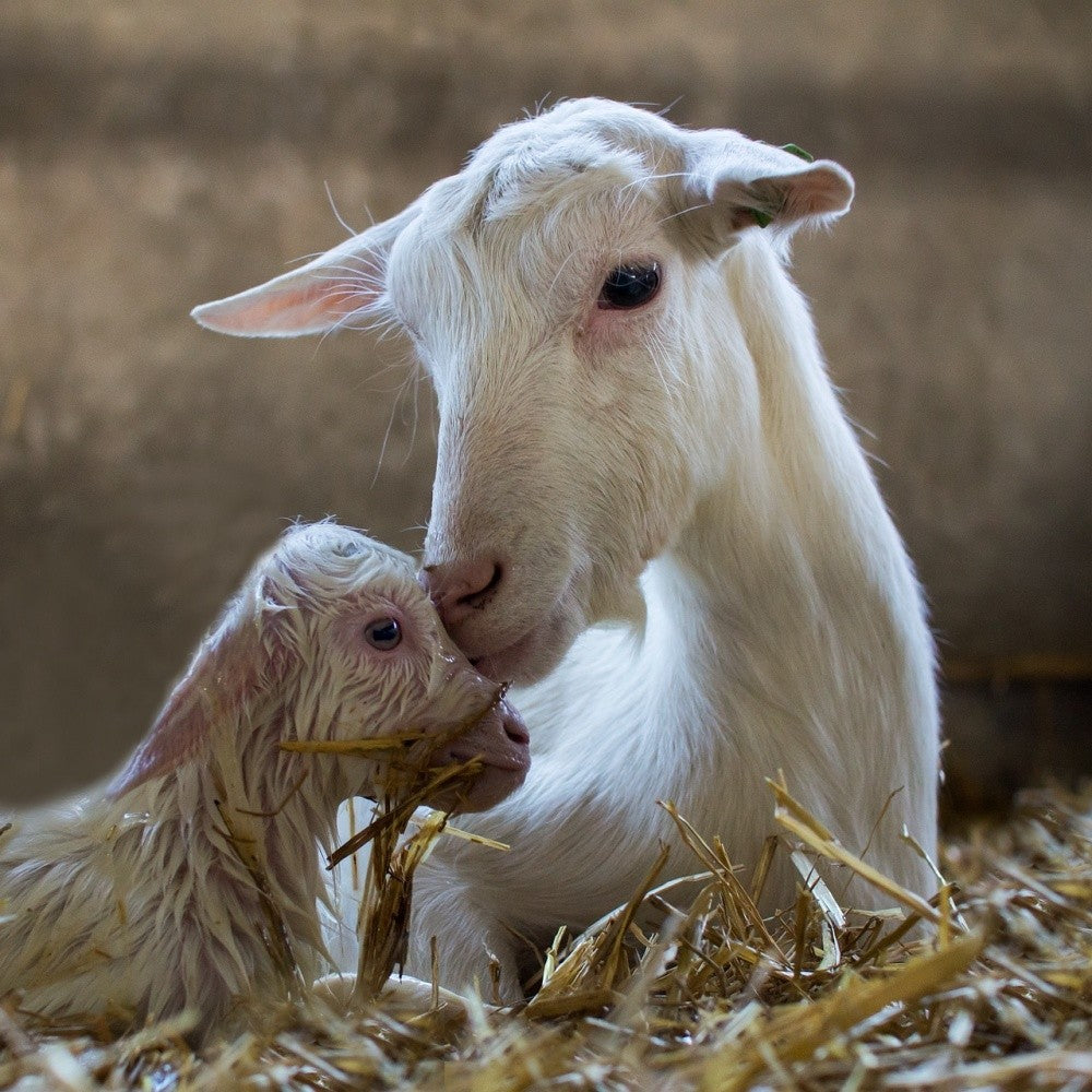 Hi mummy